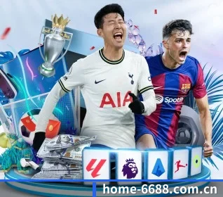 6688体育 APP 界面